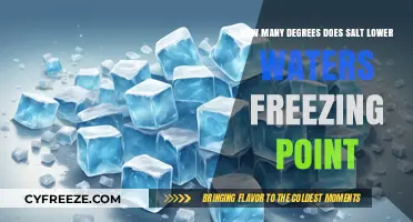 Salt's Impact: Lowering Water's Freezing Point by How Many Degrees?