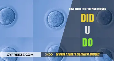 Egg Freezing Journey: My Experience with Multiple Rounds and Results