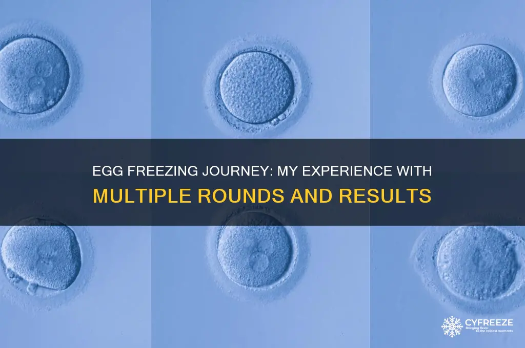 how many egg freezing rounds did u do