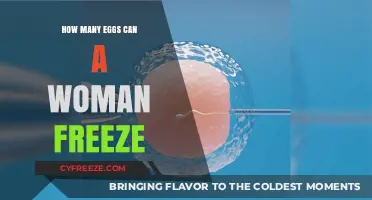Egg Freezing Limits: How Many Eggs Can Women Safely Preserve?