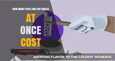 Egg Freezing Costs: How Many Eggs Can You Freeze at Once?