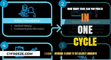 Egg Freezing Cycle: Maximizing the Number of Eggs You Can Preserve