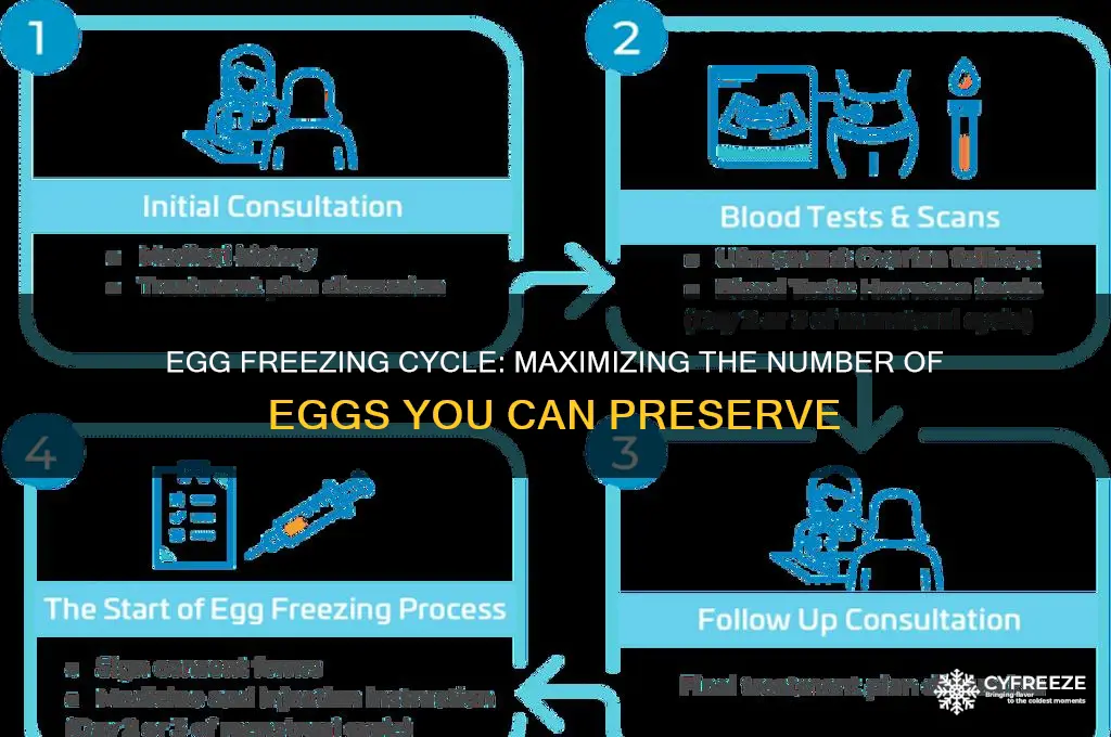 how many eggs can you freeze in one cycle
