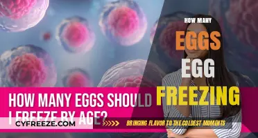 Egg Freezing: Understanding the Ideal Number of Eggs to Preserve Fertility