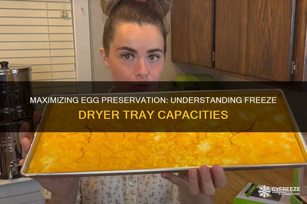 how many eggs freeze dryer tray