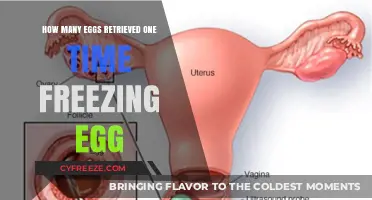 Egg Freezing Process: Understanding Average Egg Retrieval Numbers per Cycle
