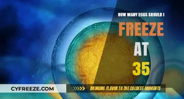 Egg Freezing at 35: Optimal Number for Future Family Planning