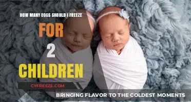 Planning for Two: Optimal Egg Freezing Count for Future Children
