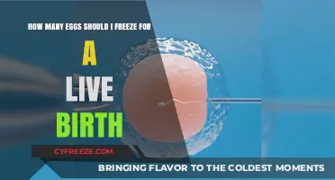 Optimal Egg Freezing Count for Achieving a Successful Live Birth