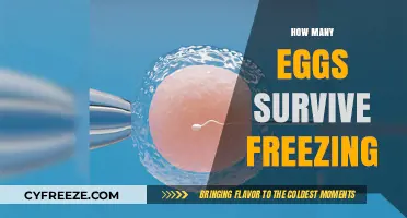 Egg Freezing Success: Survival Rates and What You Need to Know