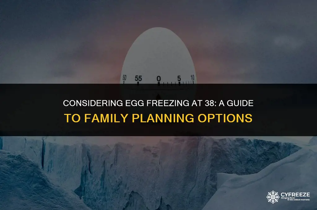 how many eggs to freeze at 38