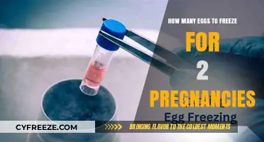 Planning for Two: The Optimal Number of Eggs to Freeze for Future Pregnancies