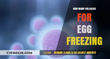Optimizing Egg Freezing: The Ideal Follicle Count for Future Fertility