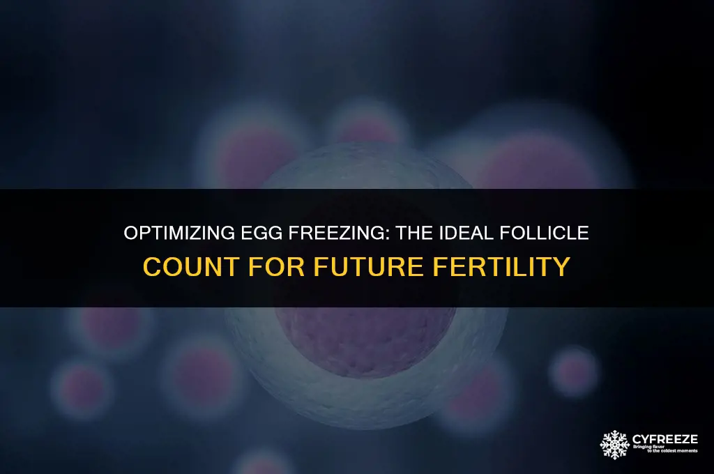 how many follicles for egg freezing