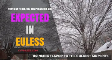 Euless Winter Forecast: Anticipated Freezing Temperatures and Cold Snap Insights