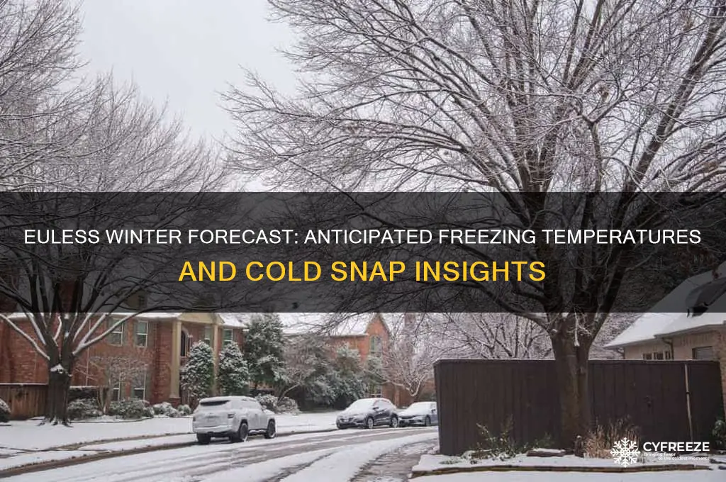 how many freezing temperatures are expected in euless