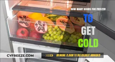 How Long Does It Take for a Freezer to Get Cold?