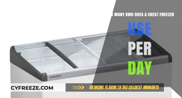 Daily Energy Consumption: Chest Freezer kWh Usage Explained