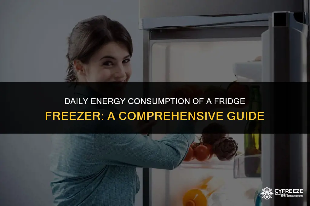 how many kwh does a fridge freezer use per day
