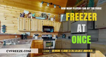 Max Players for Forge Freezer: Unlocking the Limit at Once