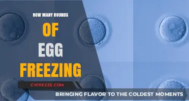 Optimizing Family Planning: A Guide to Egg Freezing Rounds