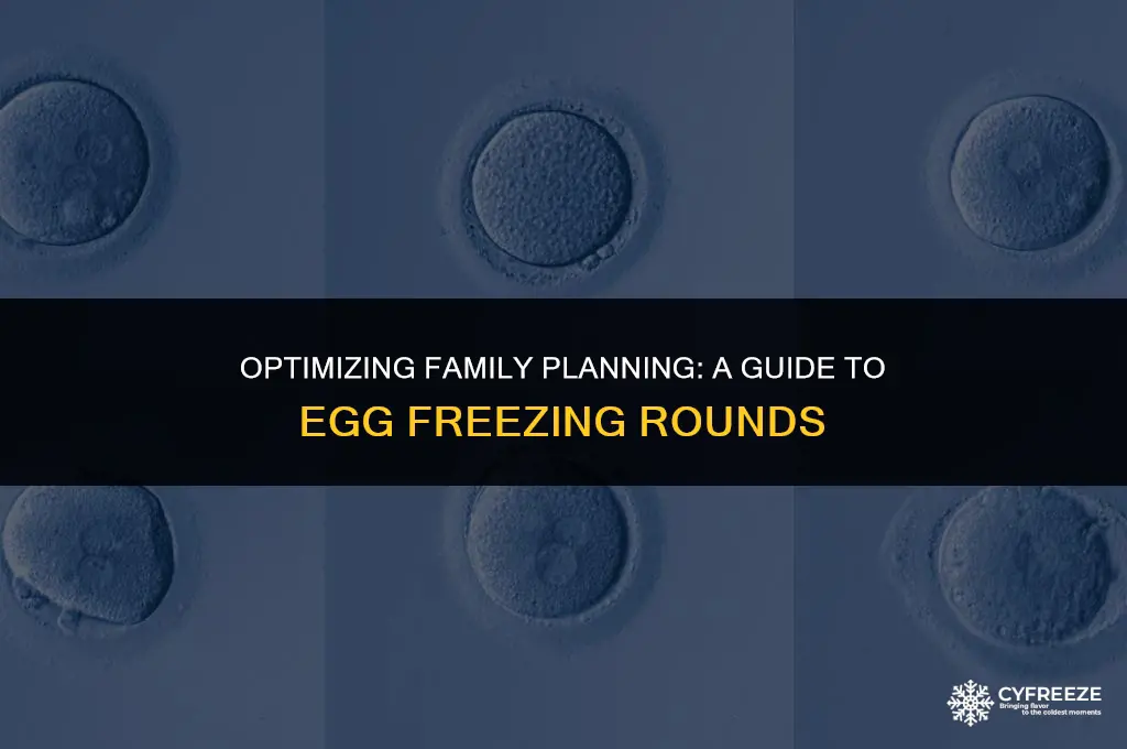 how many rounds of egg freezing