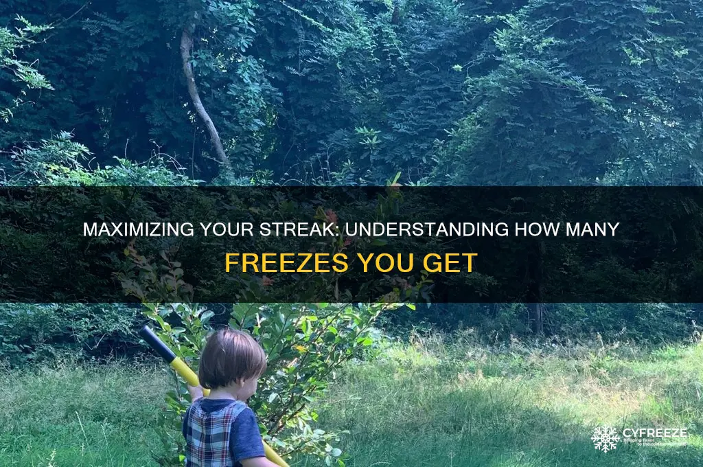 how many streak freezes do you get