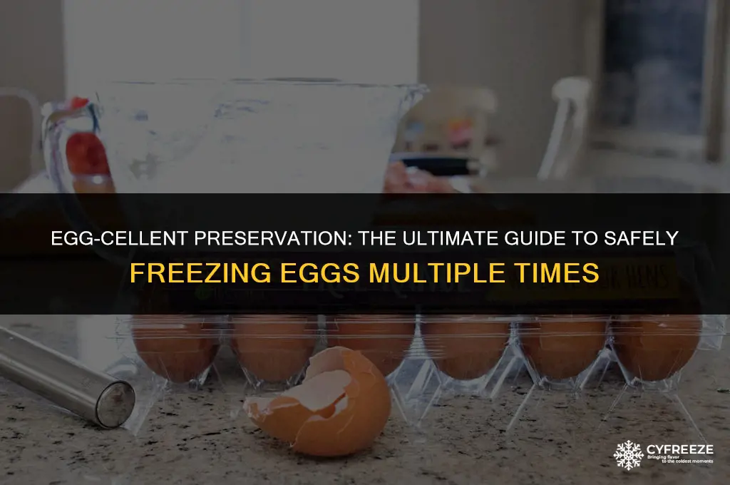 how many times is it safe to freeze eggs