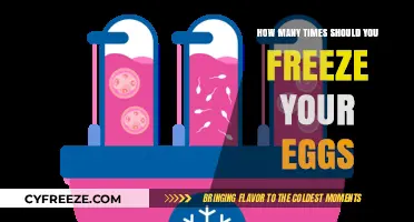 Egg Freezing Frequency: A Guide to Optimal Preservation