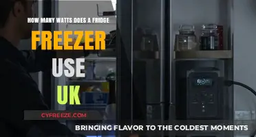 Energy Efficiency Unveiled: Fridge Freezer Power Consumption in the UK