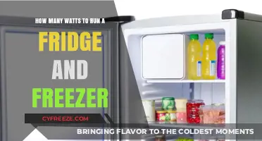Energy Efficiency Unveiled: Powering Your Fridge and Freezer