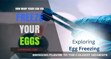 Egg Preservation: A Timeline for Freezing Your Future Fertility