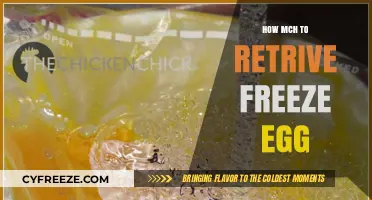 Reviving Frozen Eggs: A Guide to Thawing and Usage