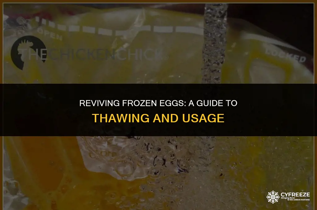 how mch to retrive freeze egg