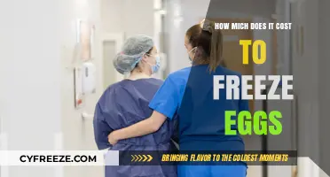 The Cost of Preserving Fertility: A Guide to Egg Freezing Expenses