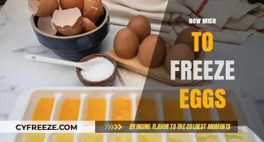 Egg-cellent Preservation: A Guide to Freezing Eggs for Future Use