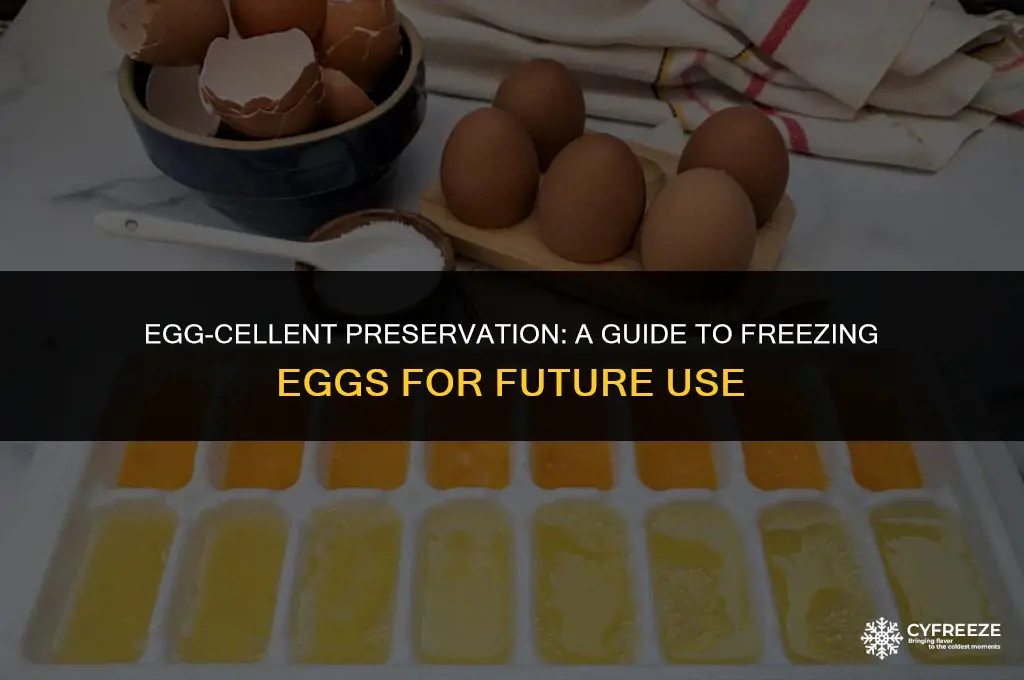 how mich to freeze eggs