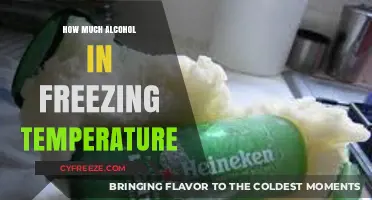 Freezing Temps and Alcohol: How Cold Affects Your Drinks