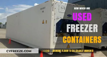 Used Freezer Containers: Pricing Guide for Buyers and Sellers