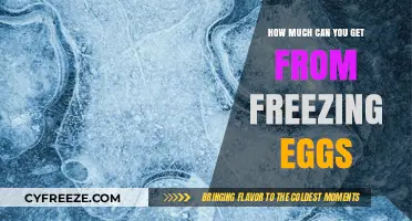 Maximizing Benefits: Understanding the Value of Freezing Your Eggs