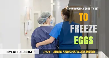 The Cost of Preserving Fertility: A Guide to Egg Freezing Expenses