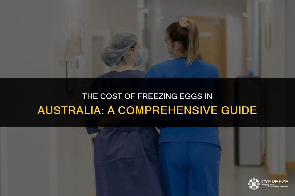 how much cost freeze eggs australia