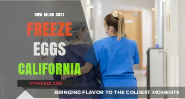 The Cost of Freezing Eggs in California: A Comprehensive Guide