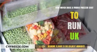 Energy Costs Unveiled: The Real Price of Running a Fridge Freezer in the UK