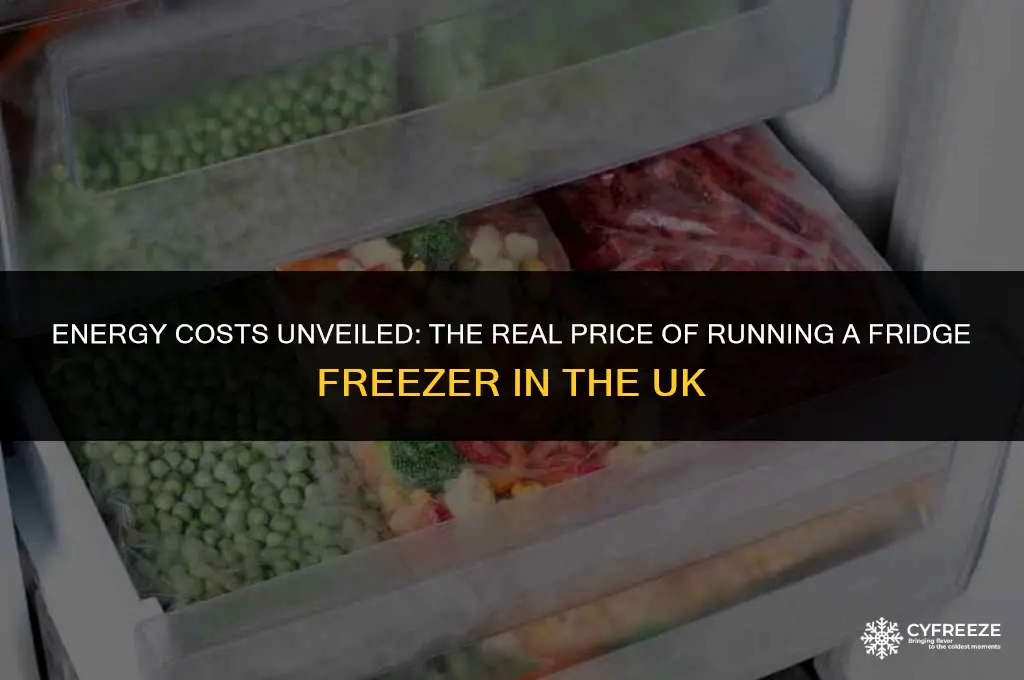 how much does a fridge freezer cost to run uk