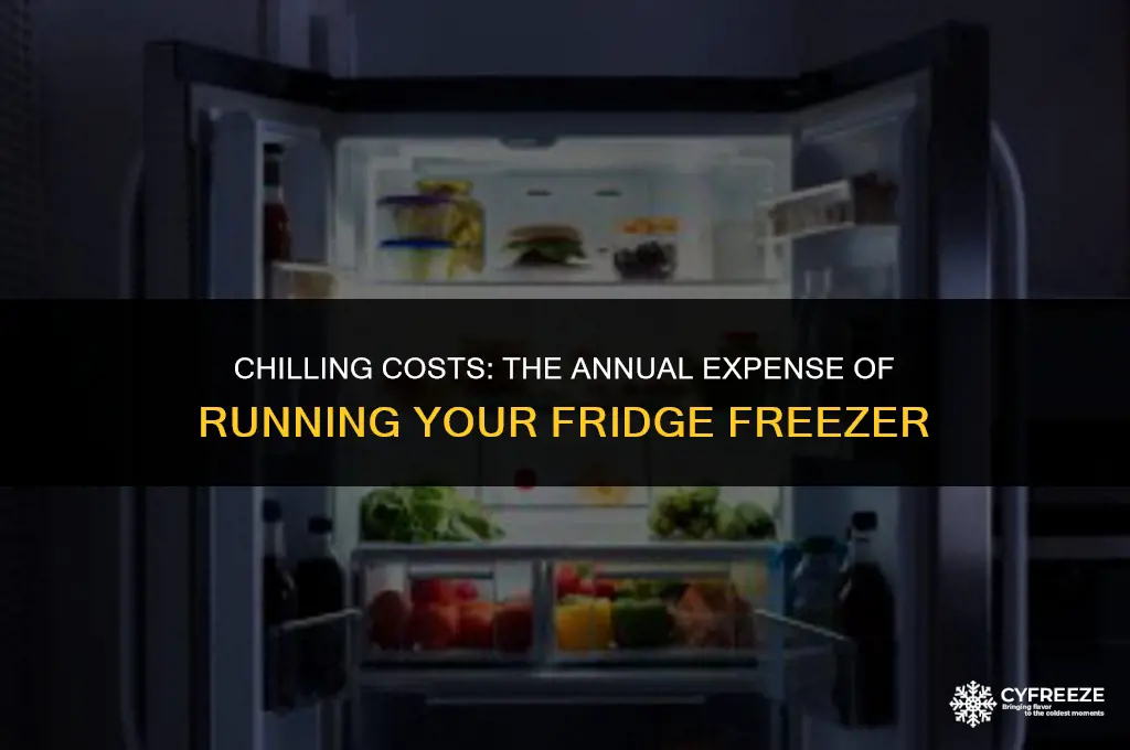 how much does a fridge freezer cost to run