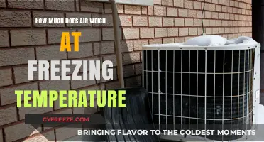 How Much Does Air Weigh at Freezing Temperature?