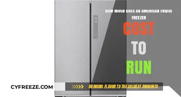 The Cost of Cooling: A Guide to American Fridge Freezer Expenses