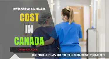 Understanding the Financial Aspects of Egg Freezing in Canada