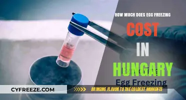 Exploring the Cost of Egg Freezing in Hungary: A Comprehensive Guide